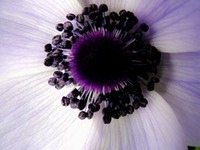 ILOVEKYTHERA.COM IMAGINE KYTHERA ISLAND (11)