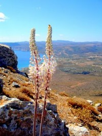 ILOVEKYTHERA.COM IMAGINE KYTHERA ISLAND (99)