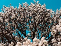 ILOVEKYTHERA.COM IMAGINE KYTHERA ISLAND (91)