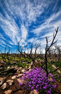 ILOVEKYTHERA.COM IMAGINE KYTHERA ISLAND (27)