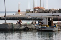 IMG_3210