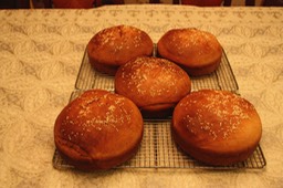 IMG 4790